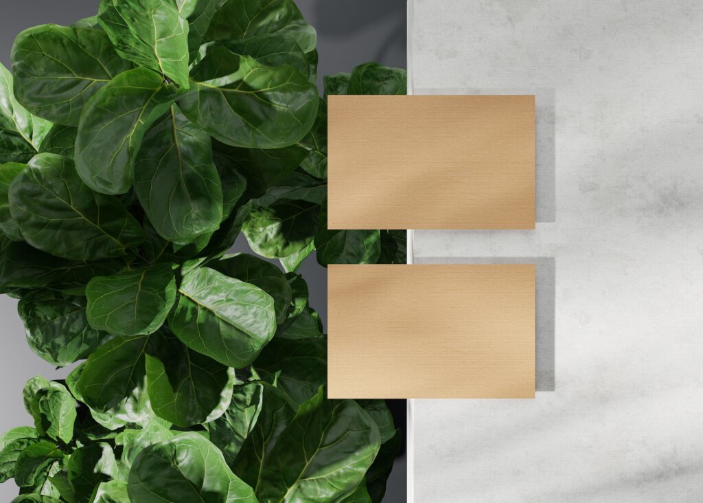 Blank brown cardboard business cards with plants. Natural mock up for branding identity.